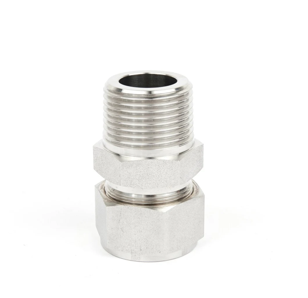 Ss 304 316 Pipe Fitting Threaded Pipe Fitting Connectors Stainless Steel Double Ferrule Male Connector
